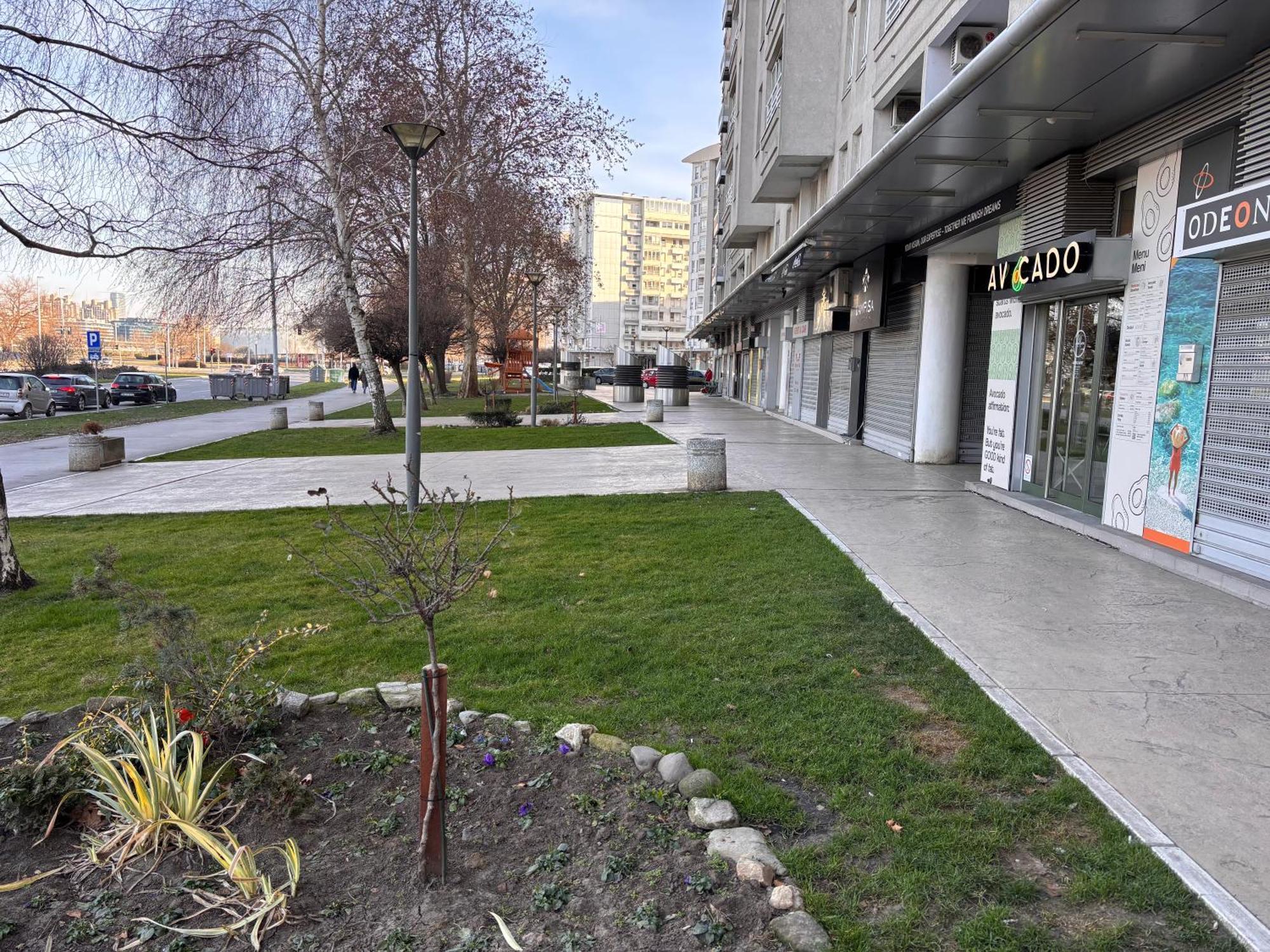 Arena Belgrade